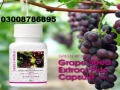 grape-seed-extract-plus-price-in-kasur-03008786895-small-0