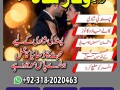 best-no-1-amilbaba-kala-jadu-specialist-expert-contact-03182020463-kala-ilam-love-marriage-solution-small-0