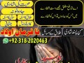 authentic-amil-baba-in-ukbest-amil-baba-in-pakistankalajadu-contact-no1-karachi-amil-baba-small-3