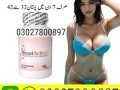 breast-actives-in-karachi-03027800897-shop-now-small-0