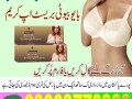 bio-beauty-breast-cream-in-pakistan03003778222-small-1