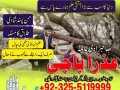 n0-1-amil-baba-near-gujranwala-amil-baba-near-wapda-town-gujranwala-amil-baba-in-islamabad-small-0