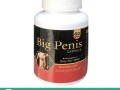 big-penis-capsule-in-pakistan-0301-1329682-call-now-small-0