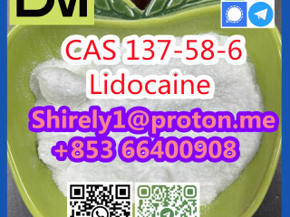 CAS 137-58-6 Lidocaine high quality good price hot sale stock