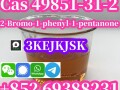 alshrk-almsnaa-alsyny-2-bromo-1-phenyl-1-pentanone-cas-49851-31-2-that-algod-alafdl-small-0