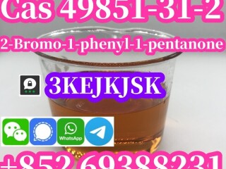 الشركة المصنعة الصينية 2-Bromo-1-phenyl-1-pentanone Cas 49851-31-2 ذات الجودة الأفضل