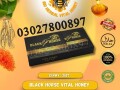 black-horse-vital-honey-in-pakistan-03027800897-order-now-small-0