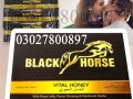 black-horse-vital-honey-in-pakistan-03027800897-order-now-small-0