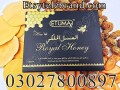 etumax-royal-honey-in-pakistan-03027800897-order-now-small-0