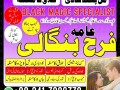 amil-baba-kala-jadu-amil-baba-in-karachi-lahore-rawalpindi-islamabad-pakistan-amil-baba-contact-small-1