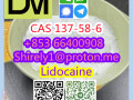 cas-137-58-6-lidocaine-high-quality-good-price-hot-sale-stock-small-7