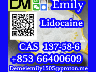 CAS 137-58-6 Lidocaine good quality hot selling safe delivery fast delivery