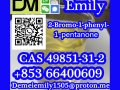 cas-49851-31-2-2-bromo-1-phenyl-1-pentanone-small-6