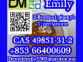 cas-49851-31-2-2-bromo-1-phenyl-1-pentanone-small-3