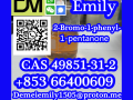 cas-49851-31-2-2-bromo-1-phenyl-1-pentanone-small-1