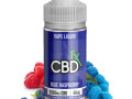 blue-raspberry-cbd-vape-juice-price-in-pakistan-03001597100-etsypakistancom-small-1