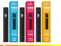 hempthy-400mg-cbd-disposable-vape-price-in-pakistan-03001597100-etsypakistancom-small-0