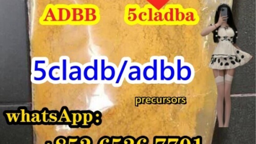 5cladba-big-2