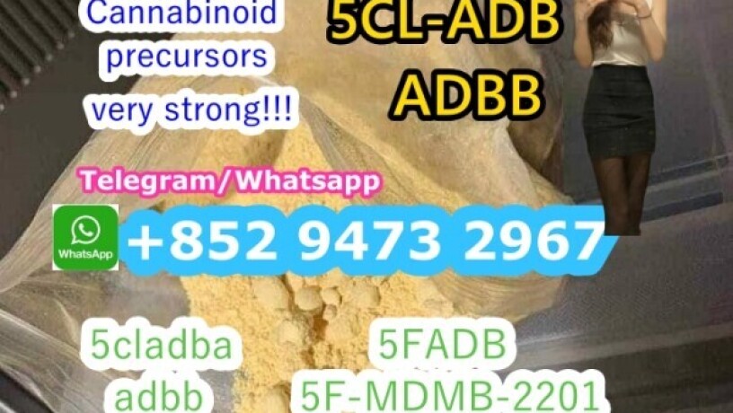 order-today-5cl-adba-jwh-018-mdmb-adbb-k2-and-5f-mdmb-2201competitive-pricing-and-assurance-of-safe-delivery-big-0