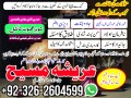 lovespell-amil-baba-pakistan-no1-baba-g-amil-baba-blackmagic-baba-923262604599-small-0