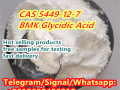 cas-5449-12-7-bmk-glycidic-acid-small-7