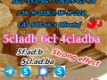 4fmdma-4fadbb-4cladb-4cladba-5cladb-5cl-2cl-2cladb-bmk-pmk-small-3