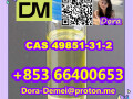 2-bromo-1-phenyl-pentan-1-one-cas-49851-31-2-small-9