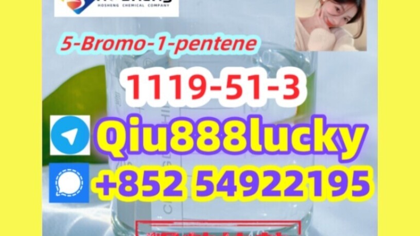 1119-51-3-5-bromo-1-pentene-big-0