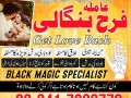 islamabad-expert-amil-baba-in-karachifamous-amil-baba-in-lahore-amil-baba-in-uk-amil-baba-in-canada-asli-amil-baba-germany-small-1