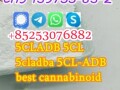 sell-5cladba-jwh-018-5cl-adbb-5fadb-mdmb-chmica-k2-powder-spice-delta-8-thc-oil-kush-sgt-25-cbd-mdmb-small-1