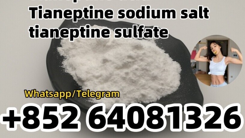 high-purity-tianeptine-sodium-suppliers-are-cheap-big-0