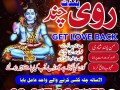 no-1-amil-baba-in-uk-london-amil-baba-oman-norway-expert-amil-baba-usa-uae-small-1