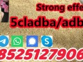 best-price-5cladb-adbb-5fadb-jwh018-3mmc-4fadb-4cl-6cl-sgt151-4fadb-5cladbb-small-0