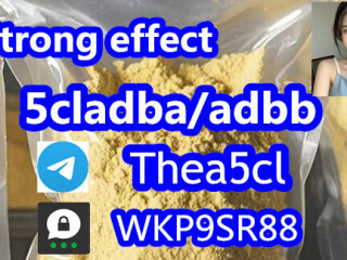 5cladba 5cladb vendor on sale 5CL-ADB China supplier