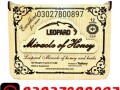 leopard-miracle-honey-in-pakistan-03027800897-cash-on-delivery-small-0