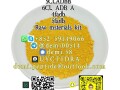 yellow-powder-5cladba-5cl-adb-a-5f-adba-5cladbb-5clmdma-5fadb-4cladb-6cladba-small-1