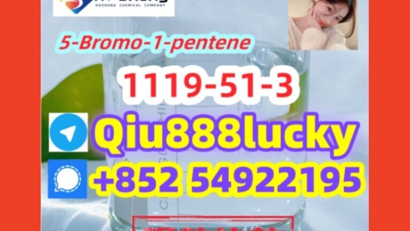 1119-51-3-5-bromo-1-pentene-big-0