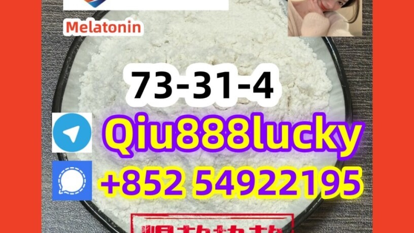 73-31-4-melatonin-big-0