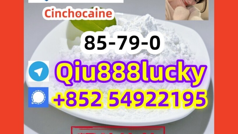 85-79-0-cinchocaine-big-0