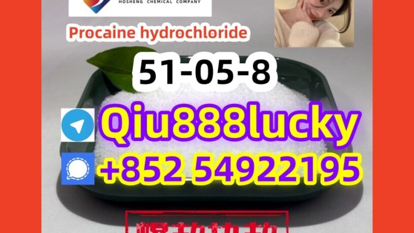 51-05-8-procaine-hydrochloride-big-0