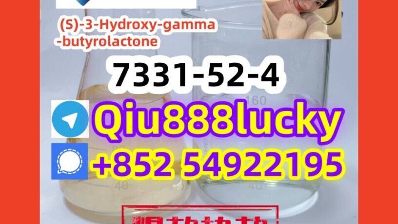 7331-52-4-s-3-hydroxy-gamma-butyrolactone-big-0