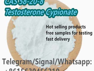 CAS 58-20-8 Testosterone Cypionate