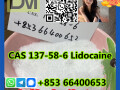 lidocainecas-137-58-6-small-0