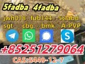 5cl-adb-5cladbb-6cladba-adbb-5cl-adb-a-4fadb-precursor-small-3