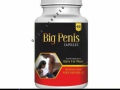 big-penis-capsules-in-pakistan-0308-5356226-all-best-small-0