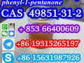 49851-31-2-bromo-1-phenyl-1-pentanone-cas-number-small-5