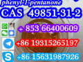 49851-31-2-bromo-1-phenyl-1-pentanone-cas-number-small-9