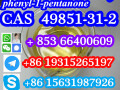 49851-31-2-bromo-1-phenyl-1-pentanone-cas-number-small-0