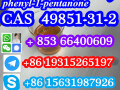 49851-31-2-bromo-1-phenyl-1-pentanone-cas-number-small-4