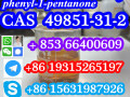 49851-31-2-bromo-1-phenyl-1-pentanone-cas-number-small-8